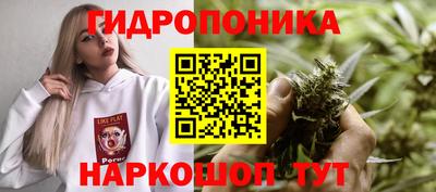 таблы Краснознаменск