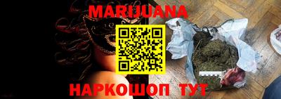 сатива Коммунар