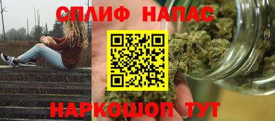 сатива Коммунар