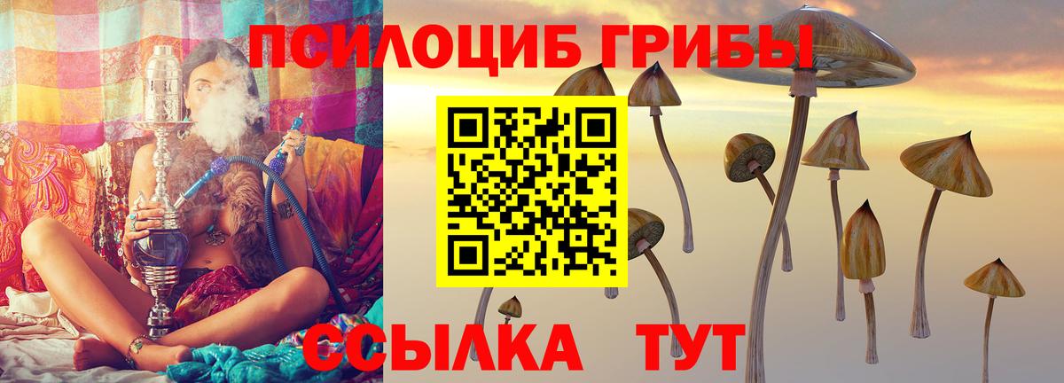 Псилоцибиновые грибы Magic Shrooms  Вход с VPN  магазин  наркотиков  Энгельс 